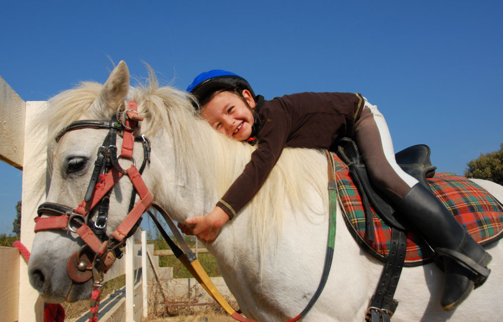 Poney à La chaudane pension complète pour colonie de vacances