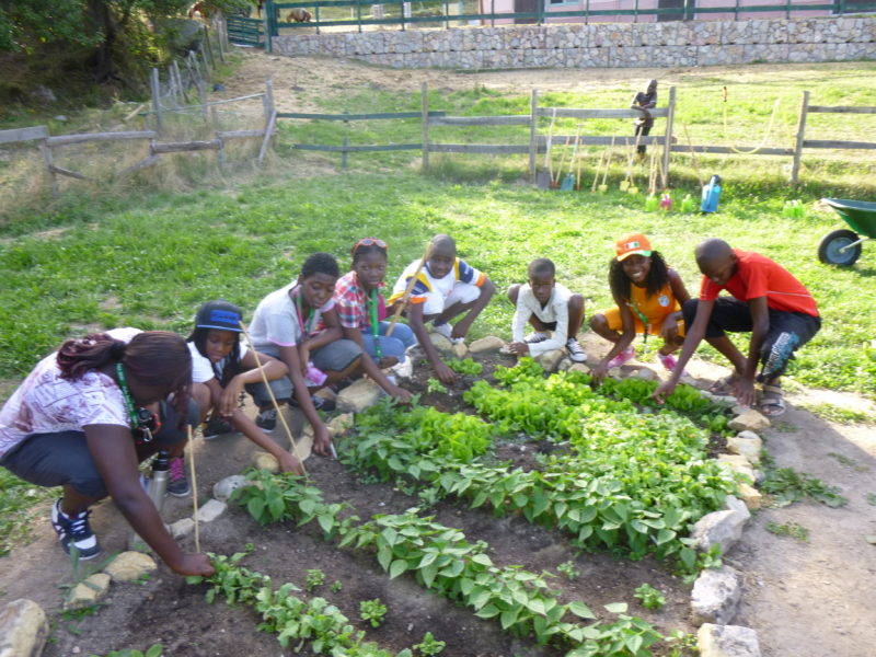 Colonie de vacances au potager des Blacouas