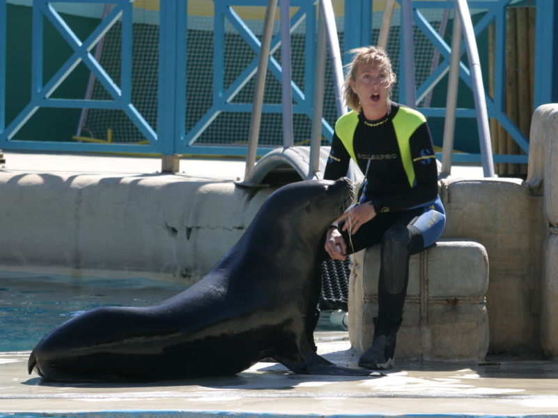 Marineland pour les familles séjournant aux Blacouas