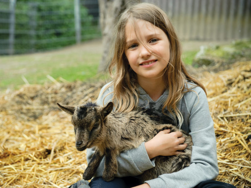 Hébergement pour groupe de jeunes à la ferme des Blacouas