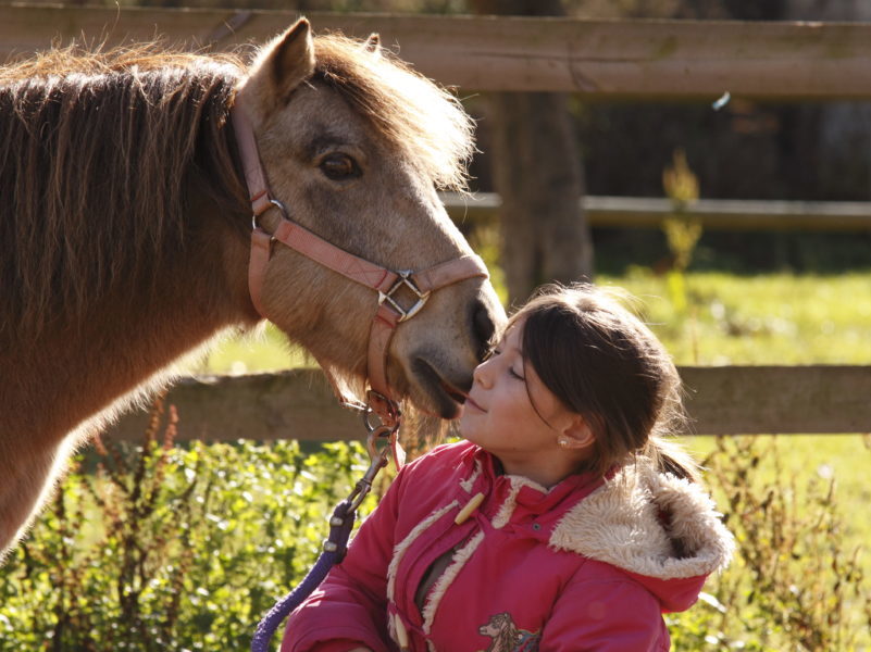 Equitation pour les colonies de vacances Les Blacouas