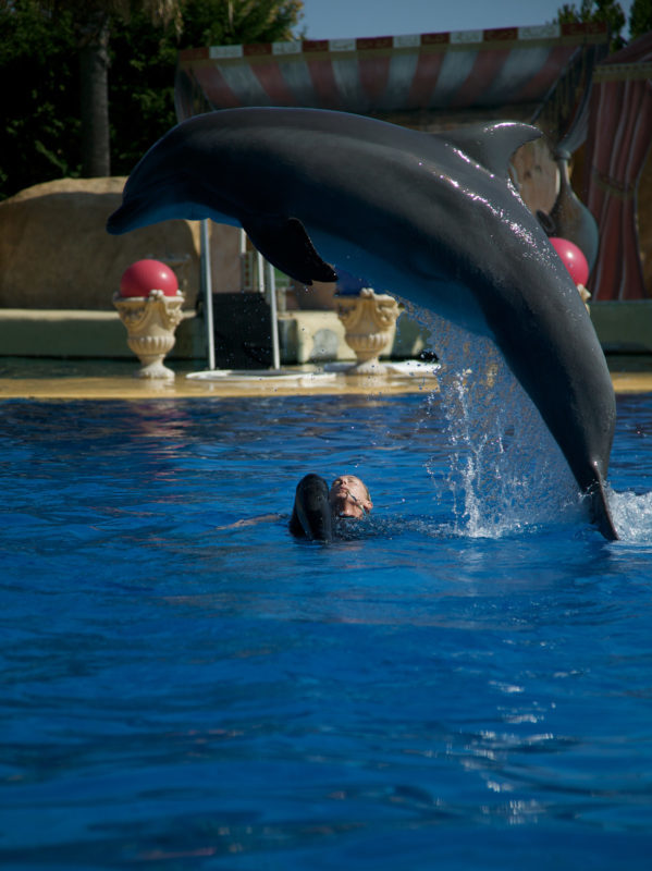 Marineland pour les colonies de vacances des Blacouas